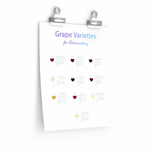 Grape Varieties for Winemaking Poster Room Decor - Your Home, Refurnished