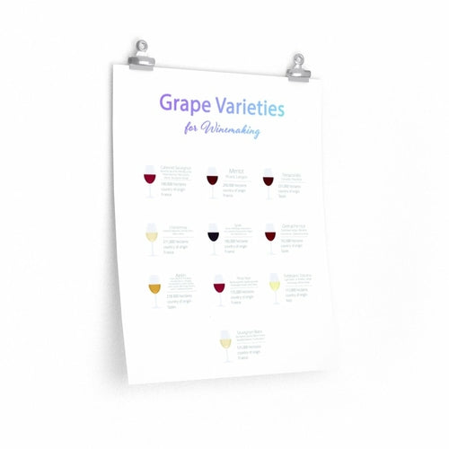 Grape Varieties for Winemaking Poster Room Decor - Your Home, Refurnished
